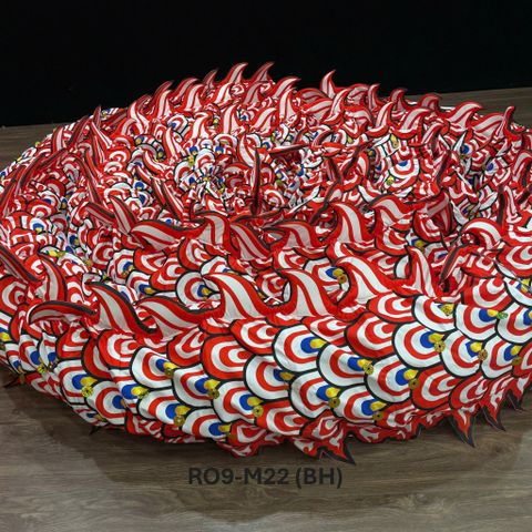 MÌNH RỒNG RO9-M22 (BH)