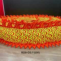 MÌNH RỒNG RO9-O3.1 (UV)