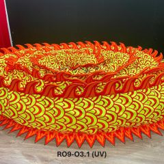 MÌNH RỒNG RO9-O3.1 (UV)