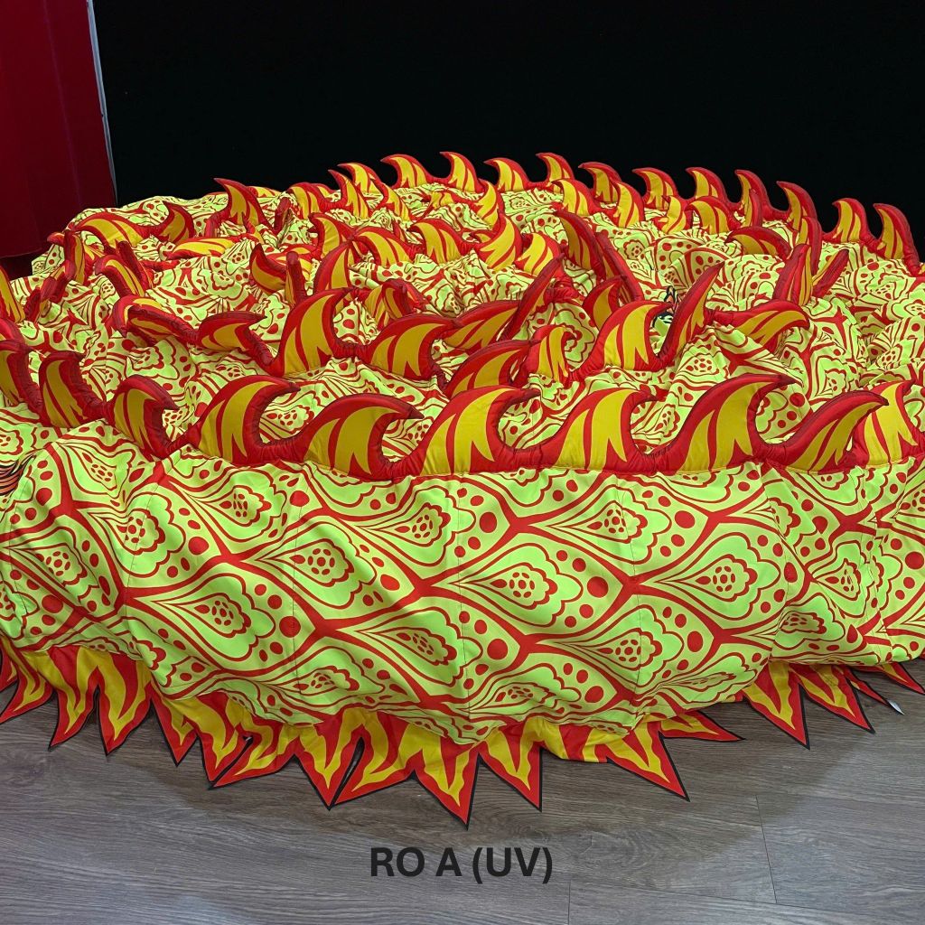 MÌNH RỒNG RO-A (UV)