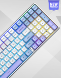  BÀN PHÍM AULA S100 PRO 