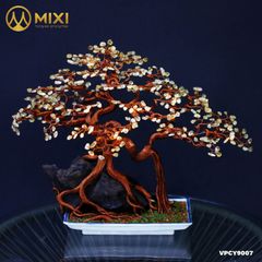 Cây Gỗ Lũa Đế Sứ Thạch Anh Vàng