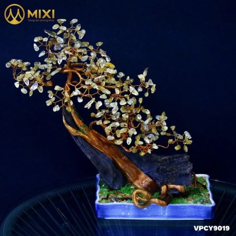 Cây Gỗ Lũa Đế Sứ Thuyền Hoa Thạch Anh Vàng