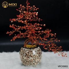 Cây Hũ Tròn San Hô Đỏ