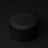  Final Audio A10000 Collector’s Limited Edition-made in Japan. Tai nghe In Ear có dây 