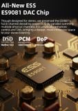  SMSL D100 Soundcard DAC HeadAmp 