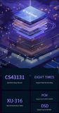 SMSL DS20 Soundcard DAC HeadAmp 