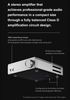  Topping Mini 300 Power Amp 