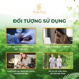  Trà Đàn hương Actisô túi lọc Havina 