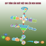  Rượu Mật Ong Lên Men HAVINA 