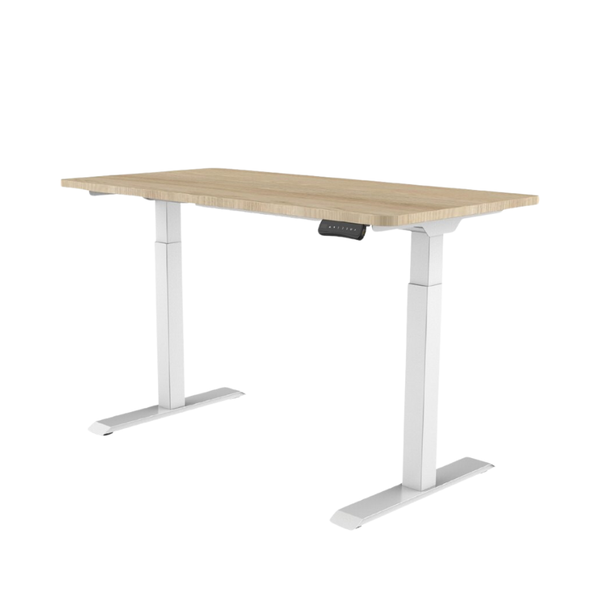 Bàn nâng hạ Ergonomic Flexispot CTH123