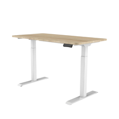 Bàn nâng hạ Ergonomic Flexispot CTH123