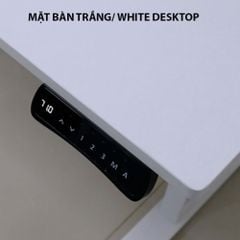 Bàn nâng hạ Gami G2