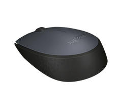 Chuột không dây Logitech M171