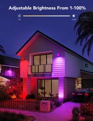 Đèn Govee RGBIC Flood Lights Outdoor