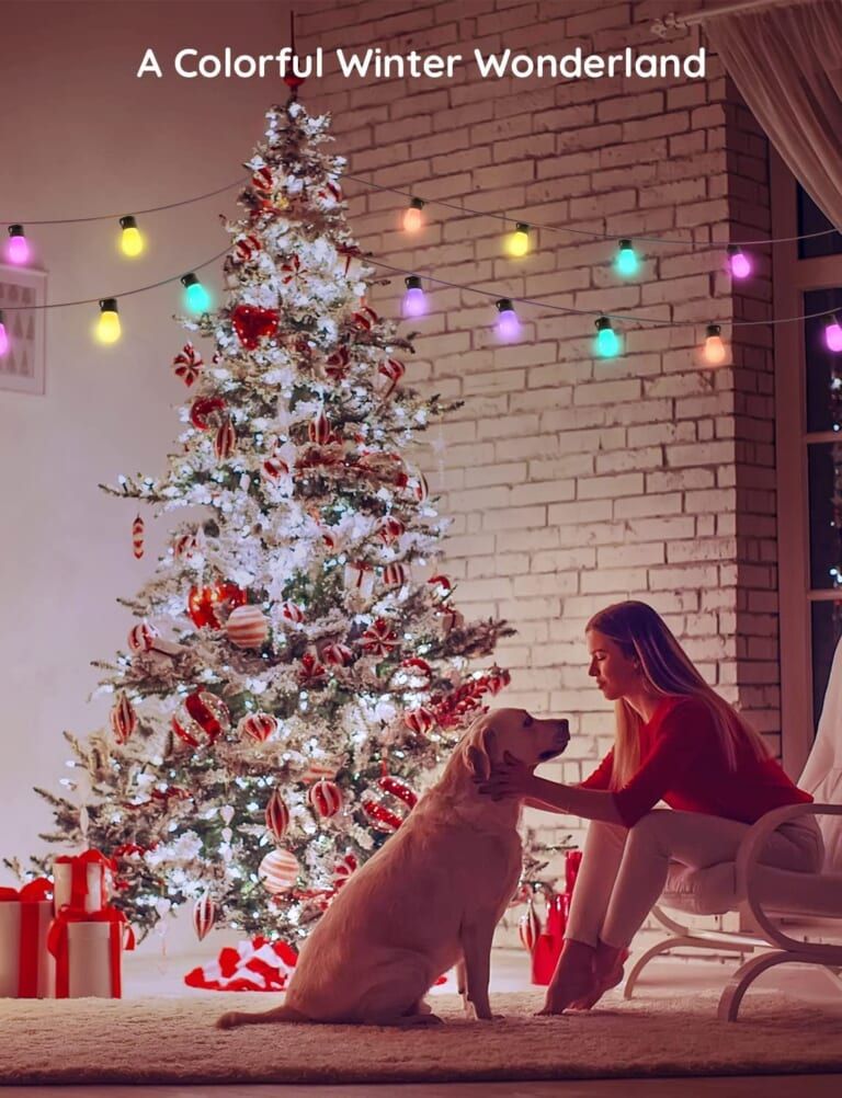 Đèn Govee RGBW 96ft Bluetooth & Wi-Fi Outdoor String Lights