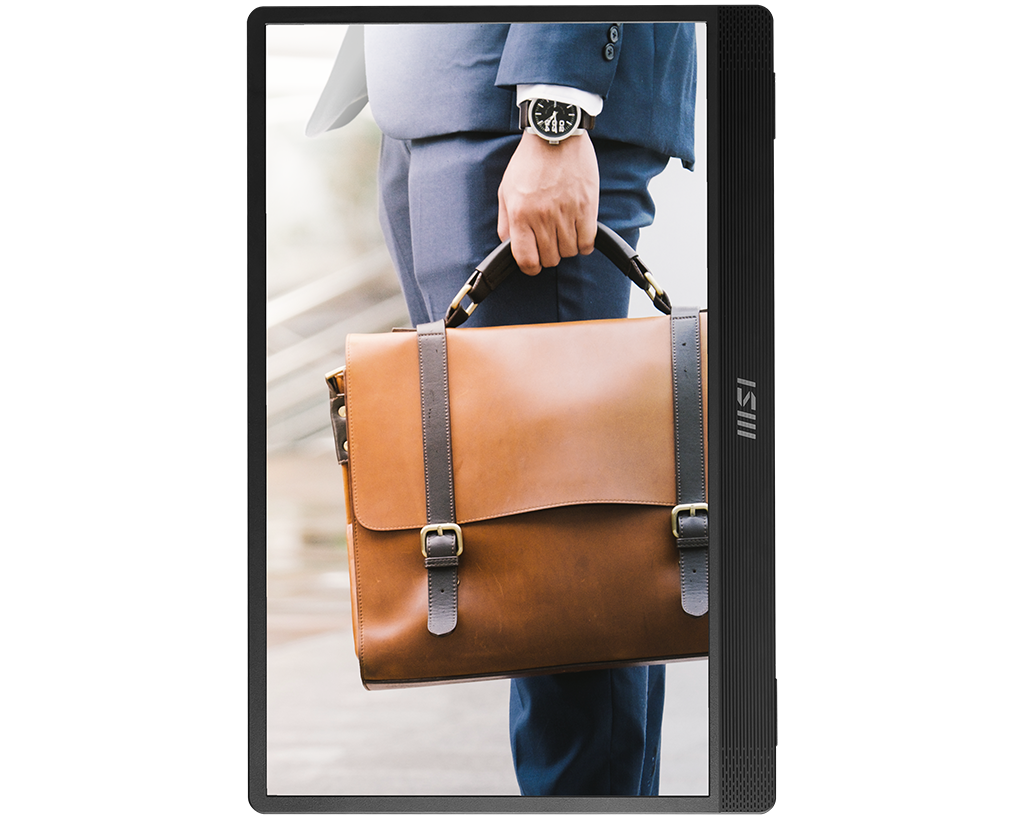 Màn hình MSI PRO MP161 (15.6 inch/FHD/IPS) - Màn hình di động