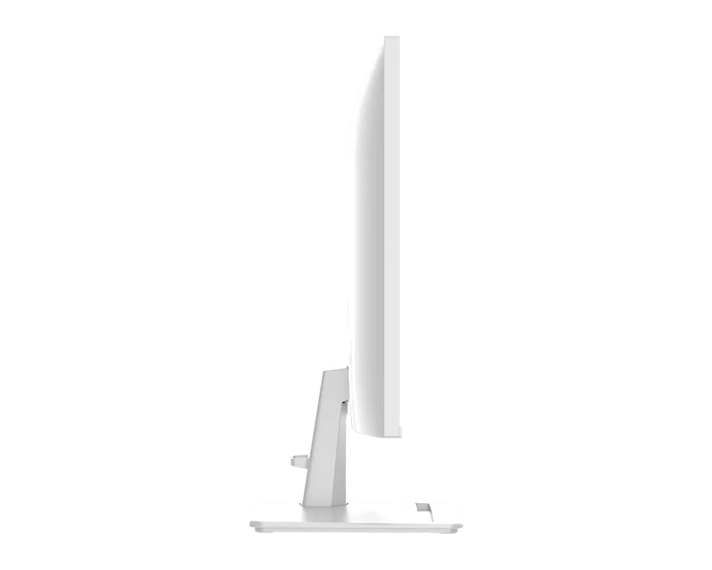 Màn hình MSI PRO MP251W E2 (24.5 inch/120Hz/FHD/IPS/Loa)