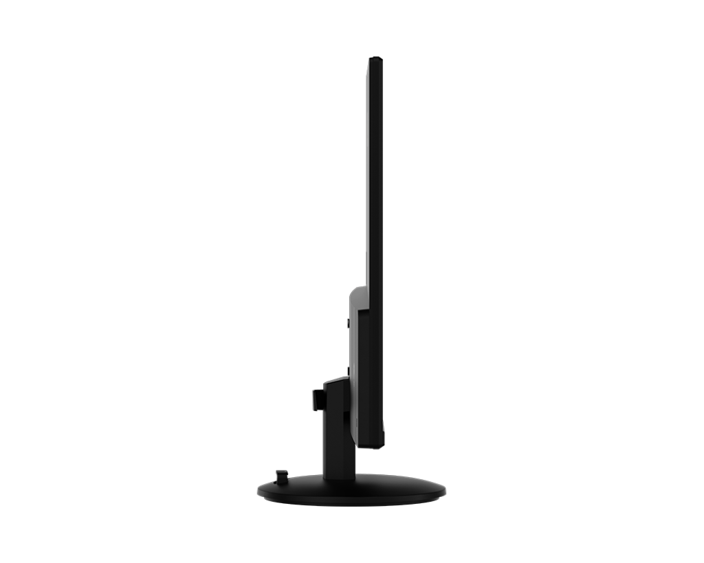 Màn hình MSI PRO MP252L (24.5 inch/100Hz/FHD/IPS)