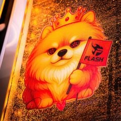 Máy bộ BP Solarion