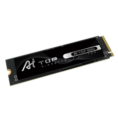 SSD GIGABYTE AI TOP 100E 320GB