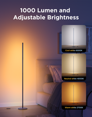 Đèn Govee RGBICW Floor Lamp Basic - H6076