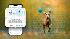 Robot Enabot ROLA PetTracker