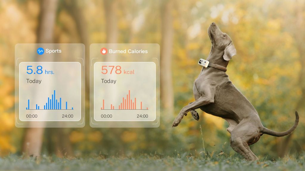 Robot Enabot ROLA PetTracker