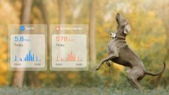 Robot Enabot ROLA PetTracker