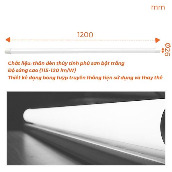 Bóng tuýp T8 LED thủy tinh 0.6m/1.2m Nanoco công suất 10W/ 20W/ 40W ánh sáng trắng/vàng model NT8Txxx