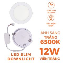 Đèn downlight LED Hera Nanoco φ135 12W viền vàng/ bạc (ánh sáng trắng/ trung tính/ vàng)