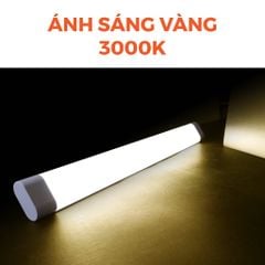 Đèn LED bán nguyệt Oval 0.6m/1.2m 20W/40W/ 60W Nanoco 3 chế độ màu