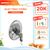 Quạt treo tường 2 dây Nanoco model NWF1614GR( 3 chế độ gió, bạc đạn, công suất 47W )