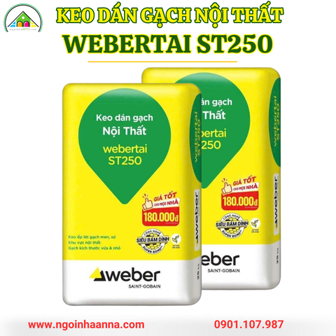 Keo dán gạch nội thất Webertai ST250