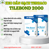 Keo Dán Gạch Terraco Tilebond 2000