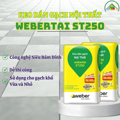 Keo dán gạch nội thất Webertai ST250
