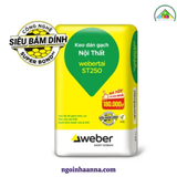 Keo dán gạch nội thất Webertai ST250