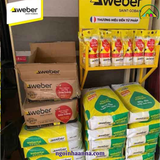 Keo dán gạch nội thất Webertai ST250