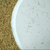 Sơn hiệu ứng vỏ trấu Pukaco