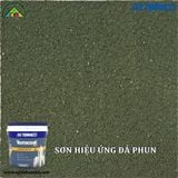 Sơn gai hiệu ứng vân đá phun Terracoat Pro