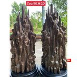  Cặp Trầm Hương Khánh Hòa Nguyên Khối sưu tầm LHWOVN-9238 