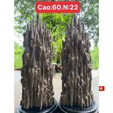  Cặp Trầm Hương Khánh Hòa Nguyên Khối sưu tầm LHWOVN-9238 
