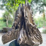  Gốc Trầm Hương Khánh Hòa Nguyên Khối LHWOVN-9246 