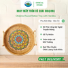  Khay Tròn Mây Đan Tre Tay Cầm Gỗ Đa Năng Ohi@ma Round Rattan Tray with Wooden Handles 