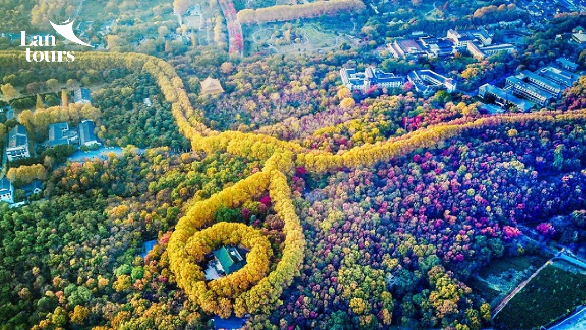 OCHN58: NAM KINH MÙA THU - 5 NGÀY 4 ĐÊM