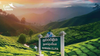 THAM DỰ LỄ HỘI RƯỚC XÁ LỢI RĂNG PHẬT 2026 - SRI LANKA – XỨ TÍCH LAN