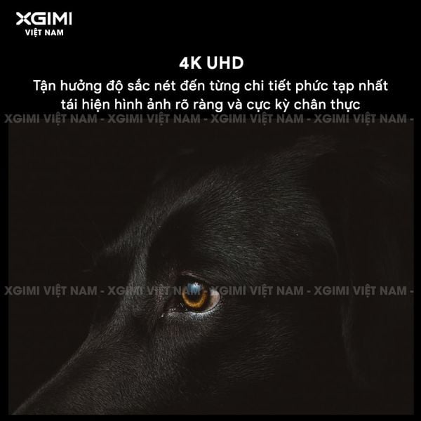 Xgimi Titan - Máy chiếu 4K chuyên nghiệp đầu tiên của Xgimi, sử dụng công nghệ Laser kép cao cấp, độ phân giải chuẩn 4K UHD, độ sáng 5000 ISO Lumens, tương phản 5.000.000:1, đạt chứng nhận IMAX Enhanced & Dolby Vision và tích hợp loa Harman Kardon