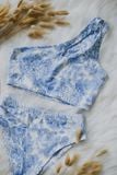  Leo - Chinese Porcelain 