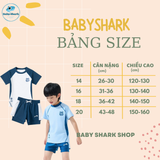  T52 - Set bơi tay đùi quần đùi bé trai QCCC 