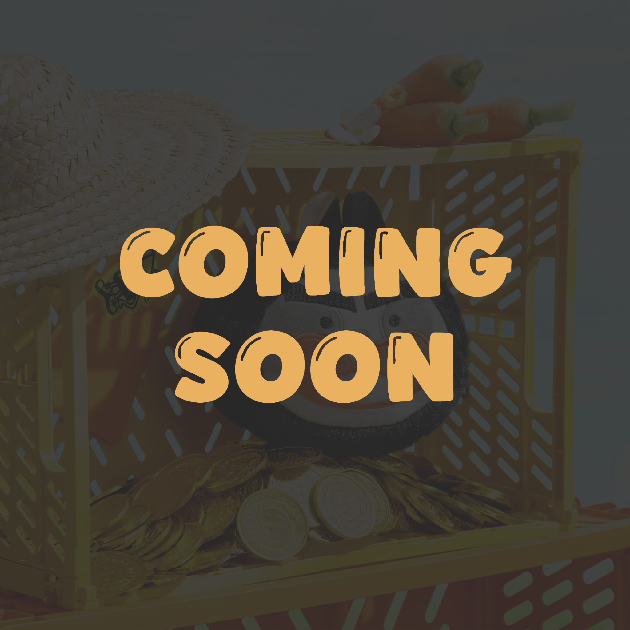  7. CHUN-CHÍP POUCH (VÍ NHỒI BÔNG CHUN-CHÍP) 